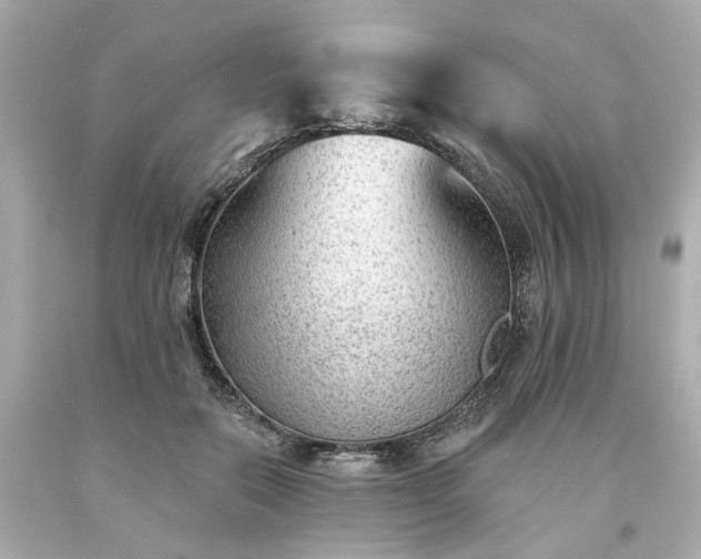 X0000094170554200711020943