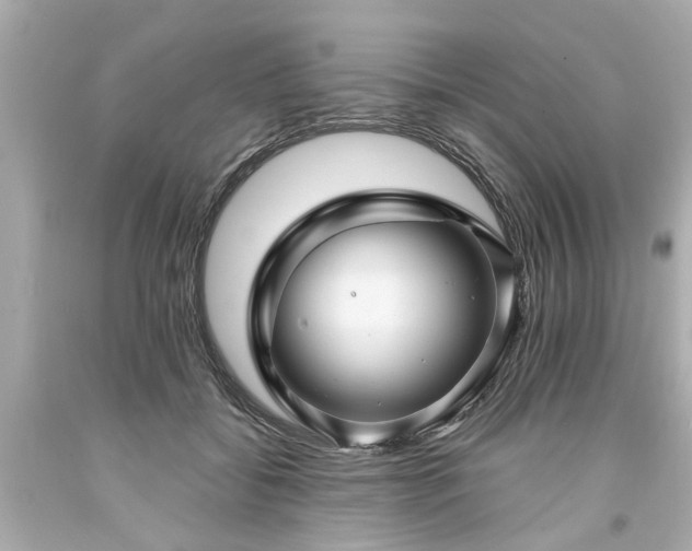 X0000094170556200711020943