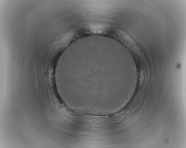 X0000094170559200711020943