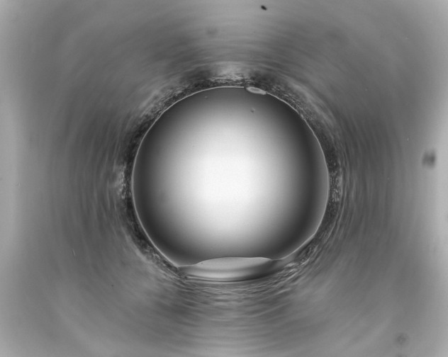 X0000094170560200711020943