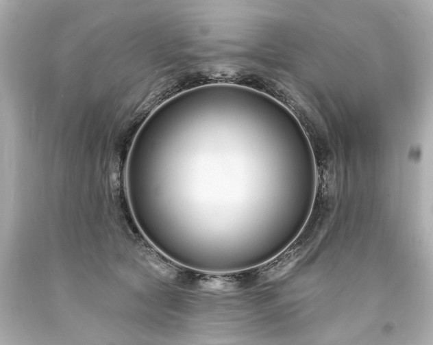 X0000094170561200711020943