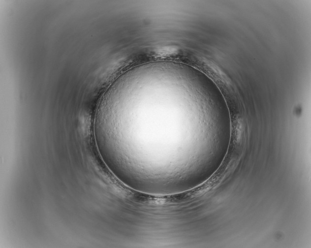 X0000094170565200711020944