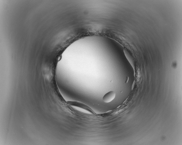 X0000094170566200711020944