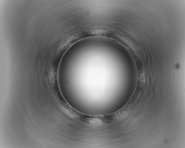 X0000094170572200711020944