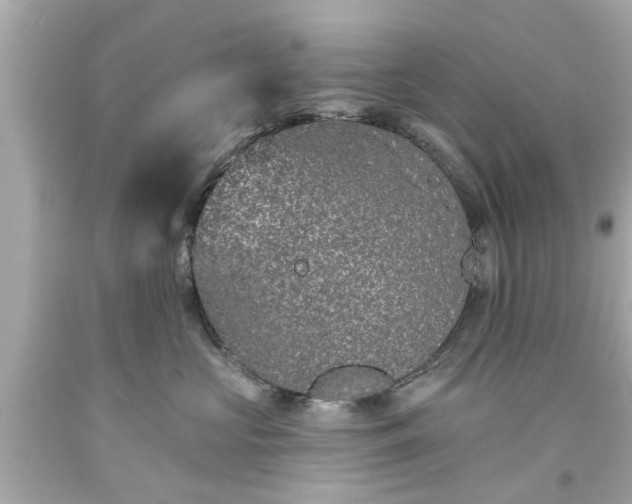 X0000094170573200711020944