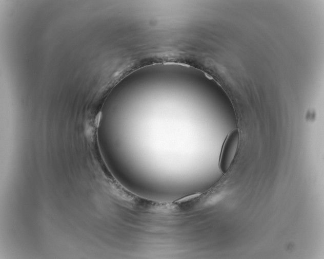 X0000094170576200711020944