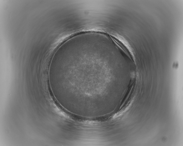X0000094170577200711020943