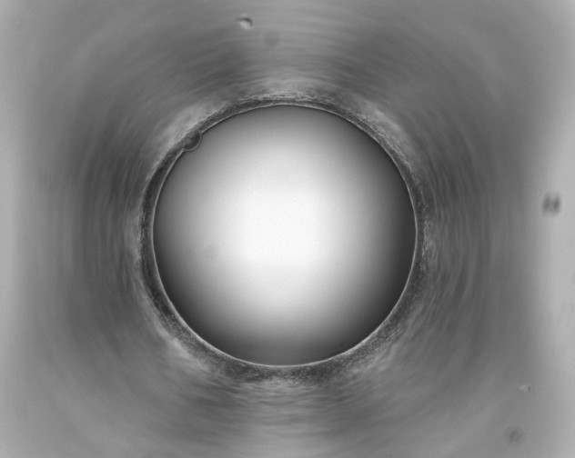 X0000094170578200711020943