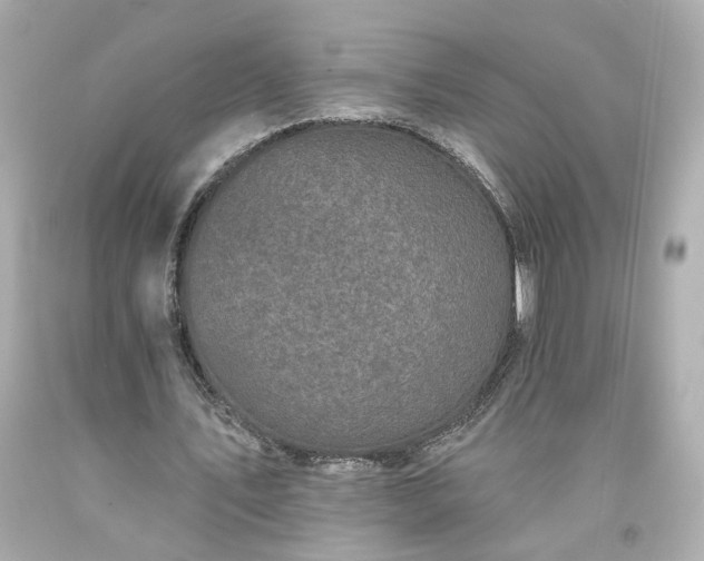X0000094170579200711020943