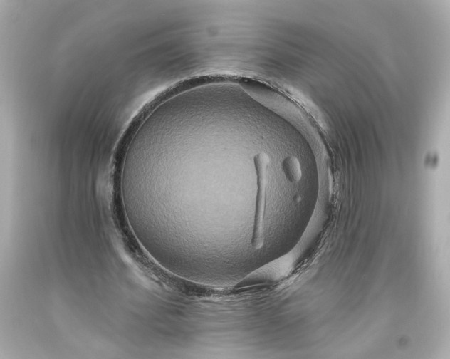 X0000094170580200711020943