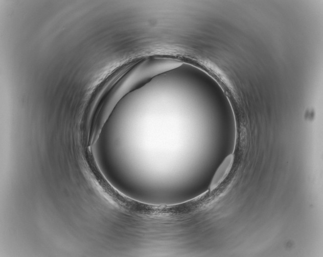 X0000094170581200711020943