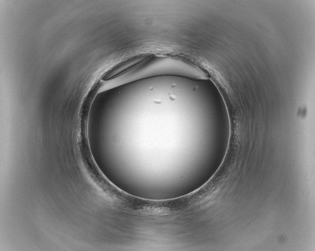X0000094170582200711020943