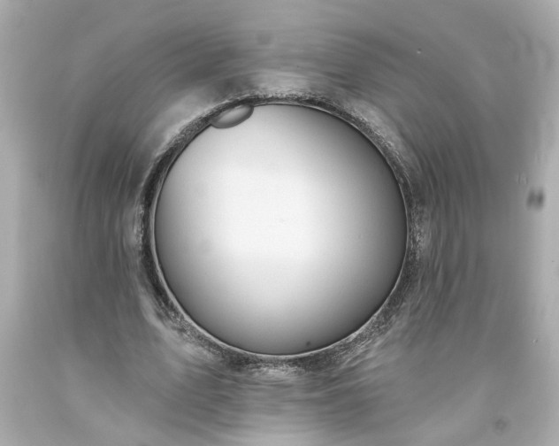 X0000094170583200711020943