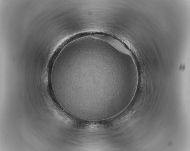 X0000094170584200711020943