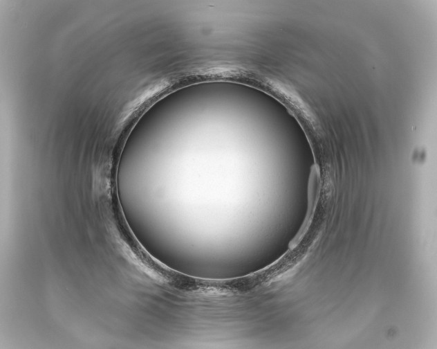 X0000094170585200711020943