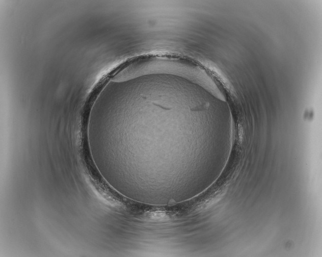 X0000094170588200711020943
