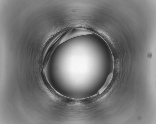 X0000094170589200711020943