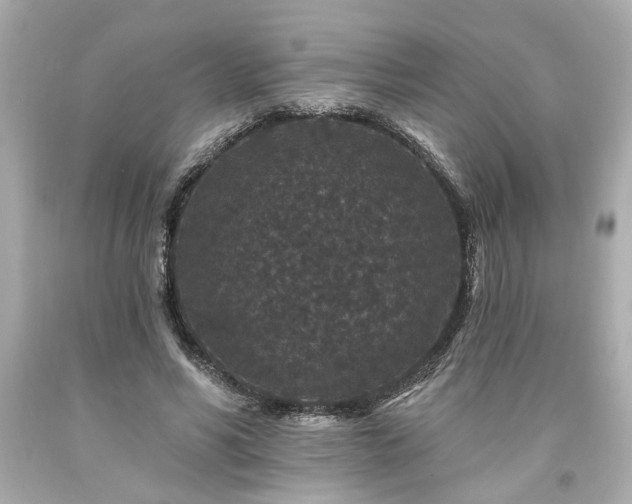 X0000094170590200711020943