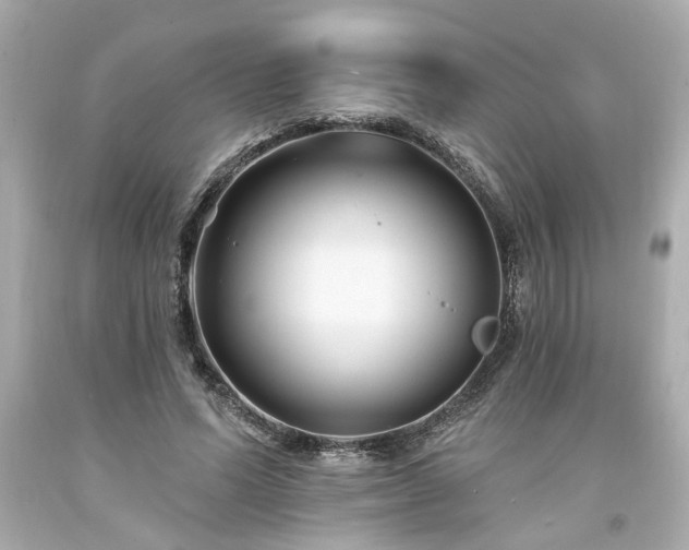 X0000094170591200711020943