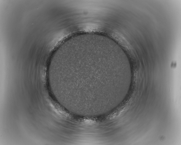 X0000094170592200711020943