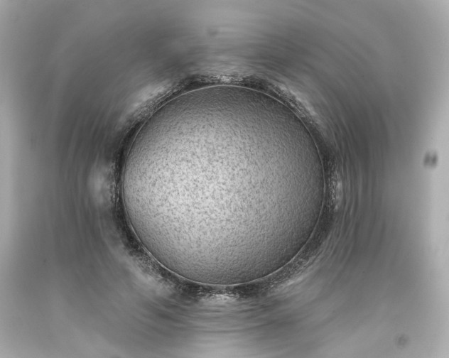 X0000094170594200711020943