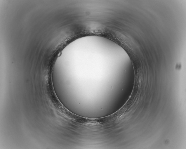 X0000094170595200711020943