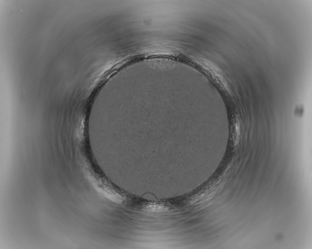 X0000094170596200711020943