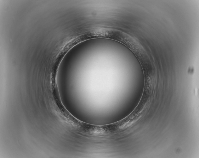 X0000094170600200711020943