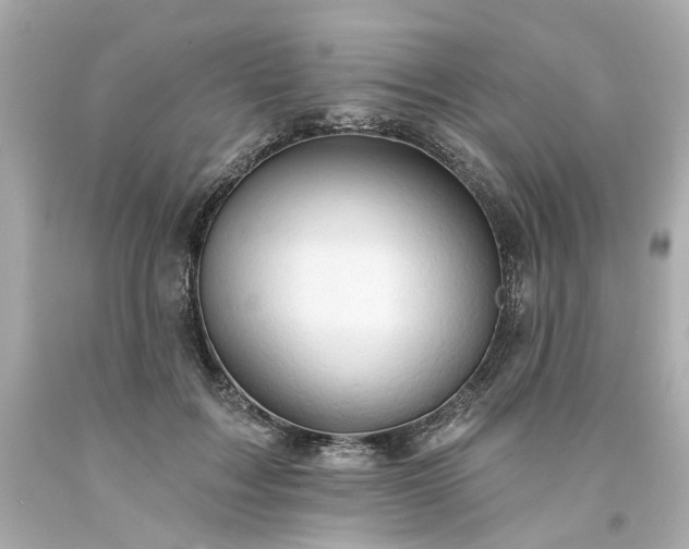X0000094170603200711020943