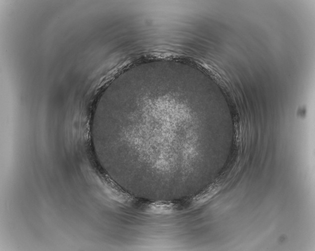 X0000094170606200711020943
