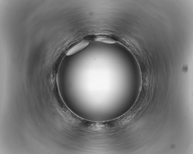 X0000094170607200711020943