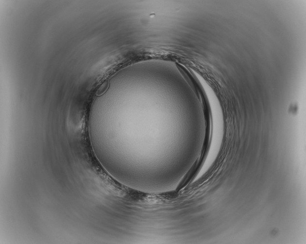 X0000094170608200711020943