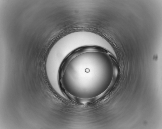 X0000094170609200711020943