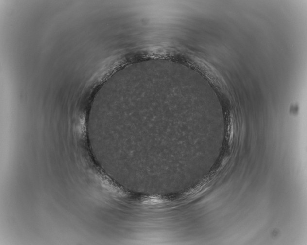 X0000094170610200711020943