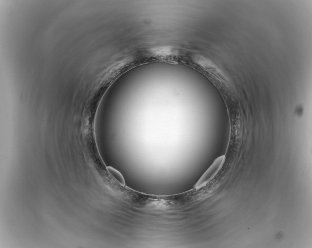 X0000094170611200711020943