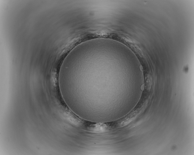 X0000094170612200711020943