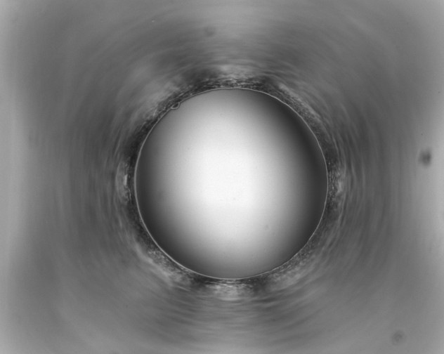 X0000094170615200711020942