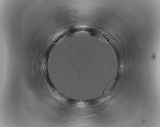 X0000094170616200711020942