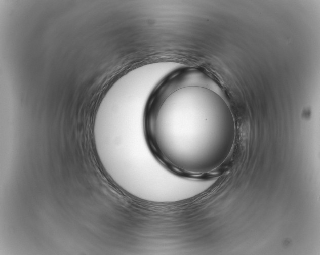 X0000094170617200711020942