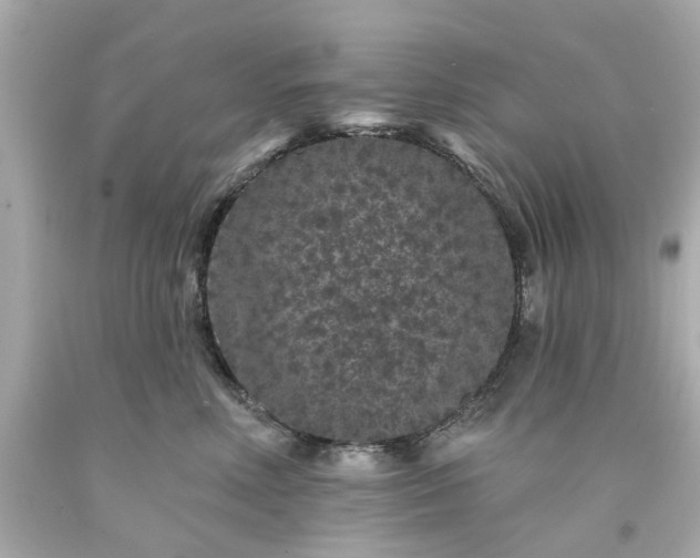 X0000094170618200711020942