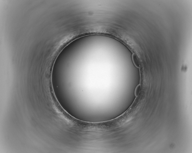 X0000094170625200711020942
