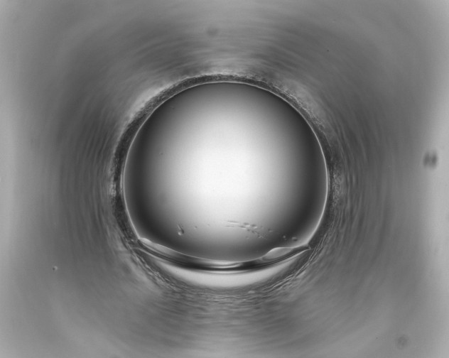 X0000094170628200711020942