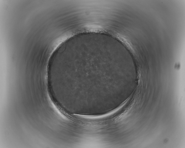 X0000094170630200711020942
