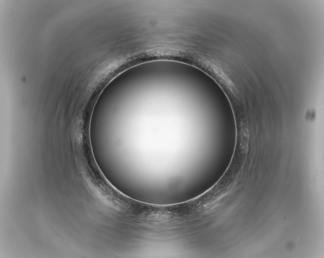 X0000094170631200711020942