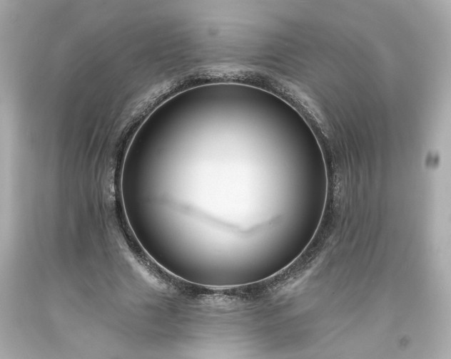 X0000094170633200711020942