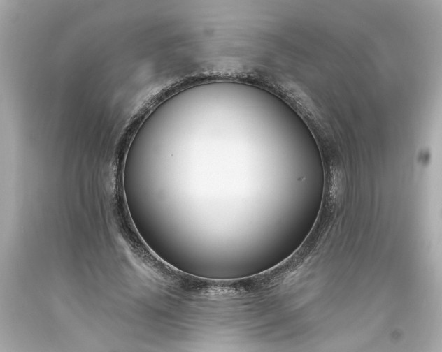 X0000094170636200711020942