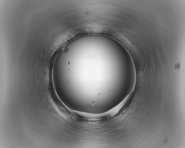 X0000094170638200711020942