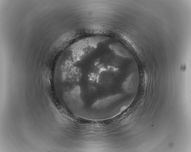 X0000094170643200711020942