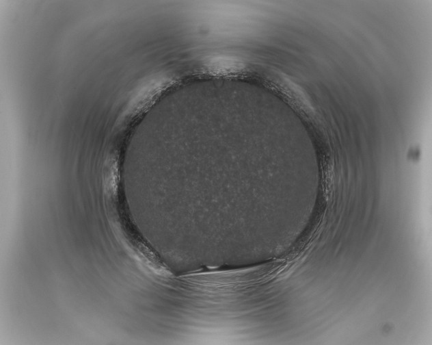X0000094170644200711020942