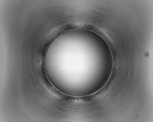 X0000094170645200711020942